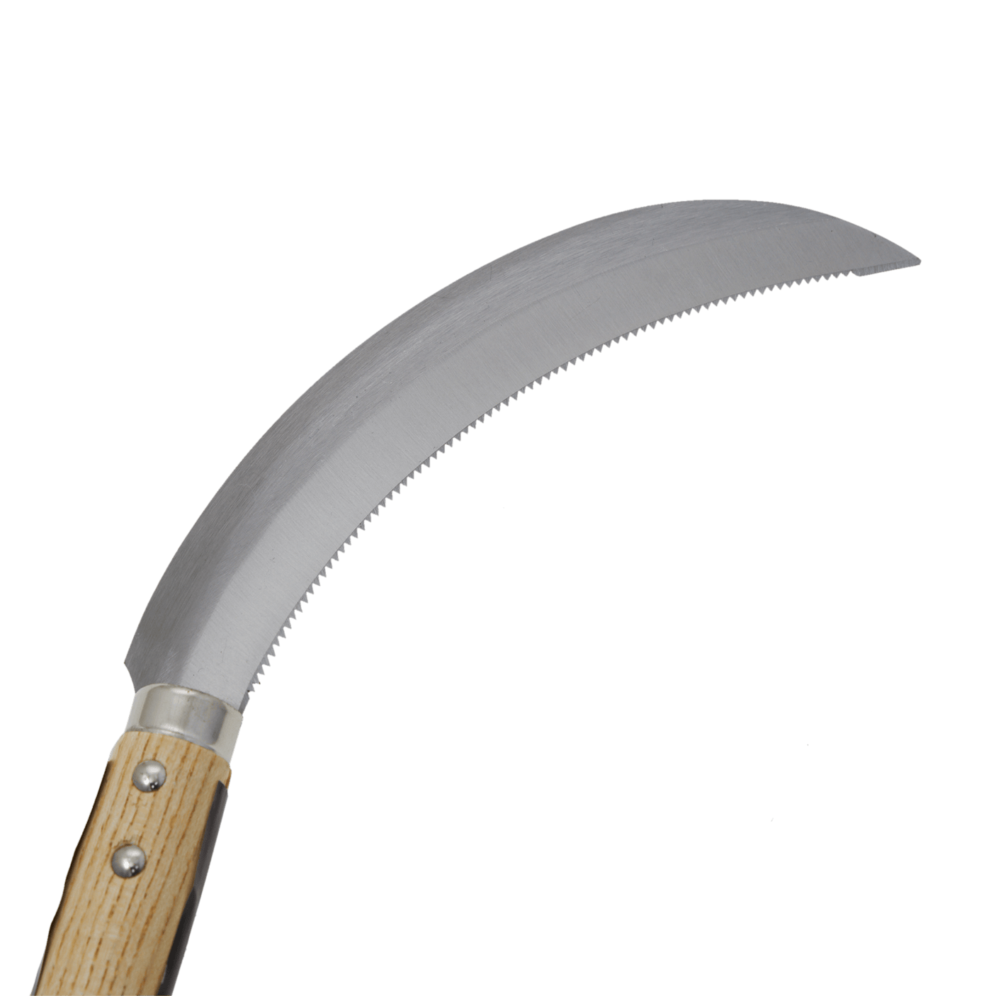 Toothed Harvesting Sickle (Stainless) - Sickles - Japanese Tools Australia