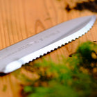 Yamakodachi 250mm Hori Hori - Digging & Weeding - Japanese Tools Australia